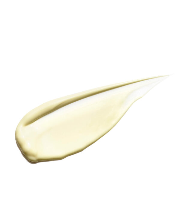 20257_age_reverse_day_repair_spf_30_formula.jpg 20257_age_reverse_day_repair_spf_30_formula.jpg